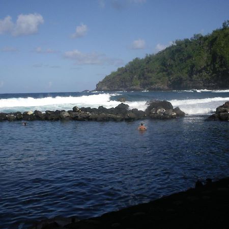 Case Creole Traditionnelle A Ossature Et Charpente Bois Petite Île 外观 照片