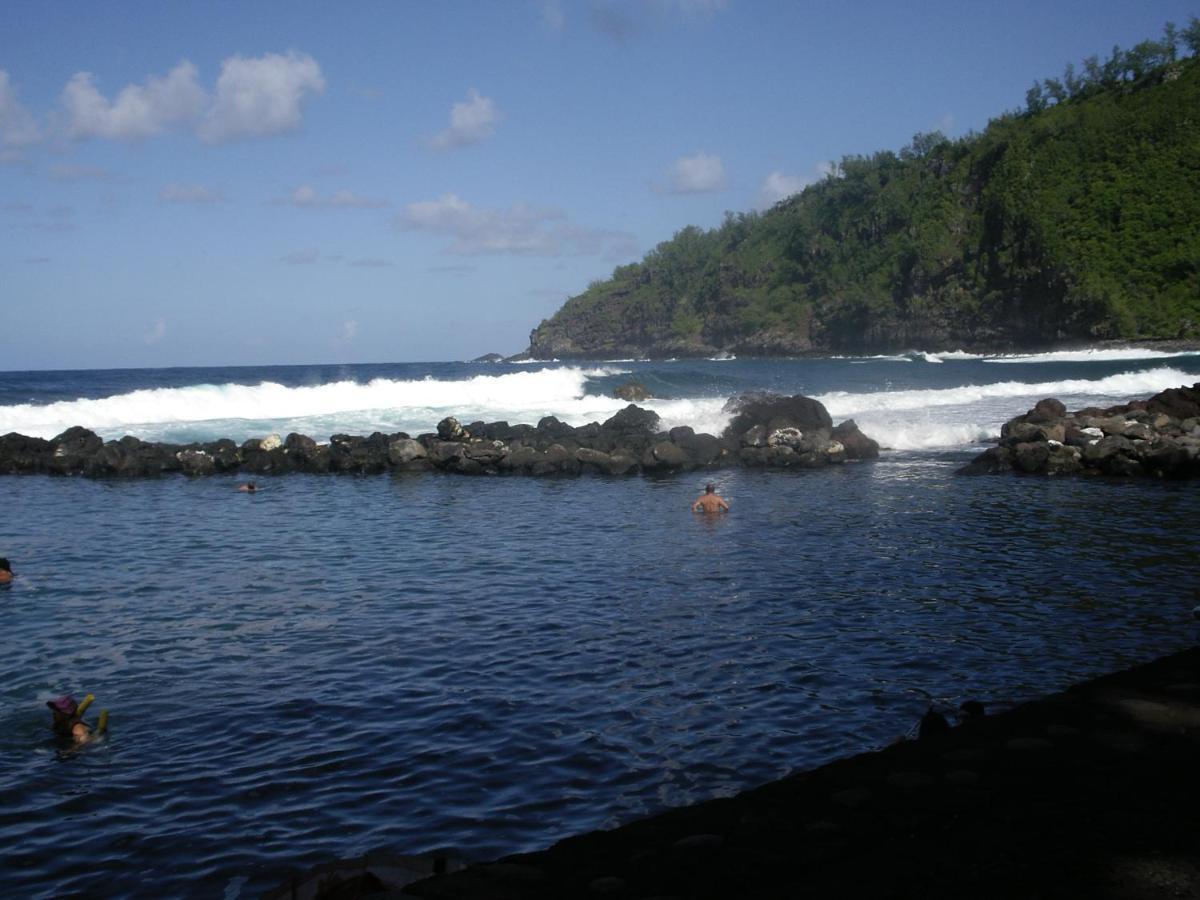 Case Creole Traditionnelle A Ossature Et Charpente Bois Petite Île 外观 照片